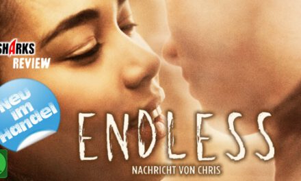 Review: <strong>„Endless – Nachricht von Chris“ </strong><br> Teenager-Liebesdrama – Neu im Handel