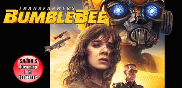 bumblebeesfdm bumblebeesfdm