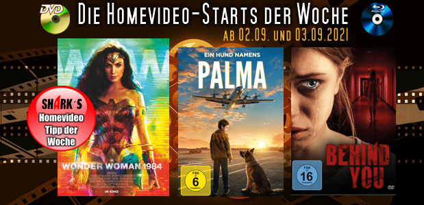 homevideostart02.09