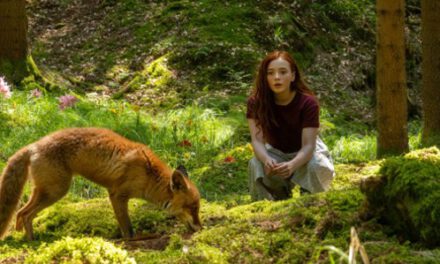 Drehstart <br><strong> „Ein Mädchen namens Willow“</strong>
